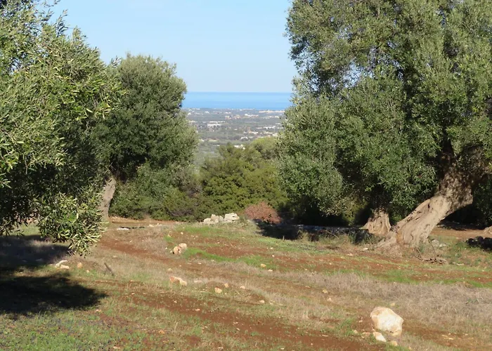 Il Rifugio Di Francesca Cisternino